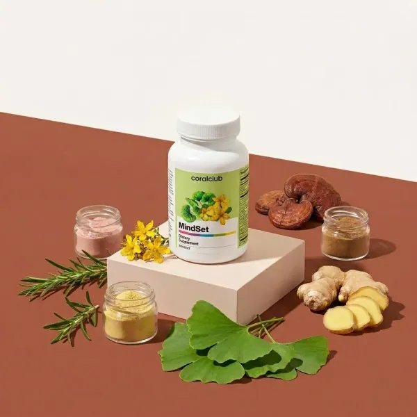 MindSet supplement bottle with herbal ingredients like ginkgo biloba, ginger, and spices on a neutral background.