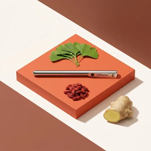 Vitastik with goji berries, ginkgo leaves, and ginger on a geometric background.